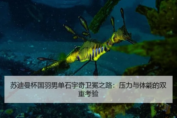 su-di-man-bei-guo-yu-nan-dan-shi-yu-qi-wei-mian-zhi-lu-ya-li-yu-ti-neng-de-shuang-chong-kao-yan-3-735.jpg