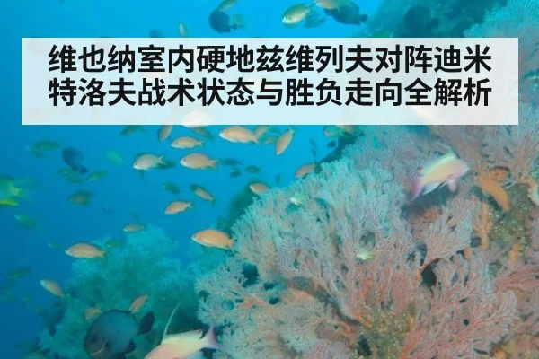 维也纳室内硬地兹维列夫对阵迪米特洛夫战术状态与胜负走向全解析
